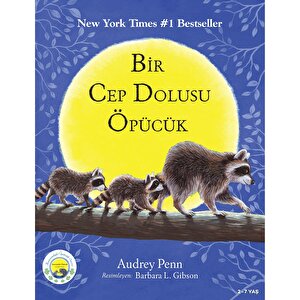 Bir Cep Dolusu Öpücük