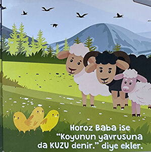 Afacan Civcivler Komşularıyla Tanışıyor Bebek Masal Meltem Erinçmen Kanoğlu