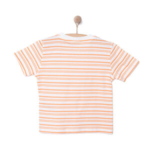 Crocodile Erkek Tshirt Erkek Bebek