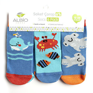 Albio Deniz Canlıları Desenli 6'lı Soket Çorap Erkek Bebek