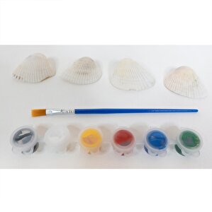 Deniz Kabuğu Boyama Deniz Kabuğu Boyama