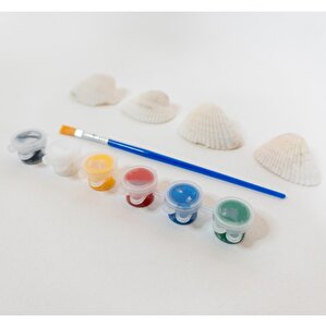 Deniz Kabuğu Boyama Deniz Kabuğu Boyama