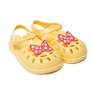 Novelido Deniz Terliği, Pembe, 23-24