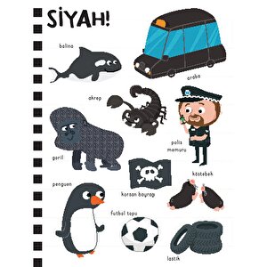 Dev Renkler Kitabım Dev Renkler Kitabım