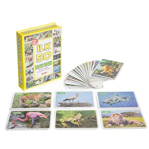 Dıy Toy Yaşam Alanlarında İlk 50 Hayvan Bebek Eğitici Oyuncak Flash Cards