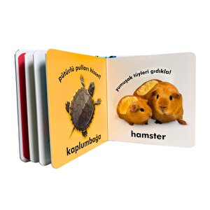 Dk Bebek Dokun Ve Hisset Serisi - Evcil Hayvanlar