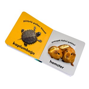 Dk Bebek Dokun Ve Hisset Serisi - Evcil Hayvanlar