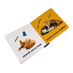 Dk Bebek Dokun Ve Hisset Serisi - Yavru Kediler