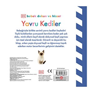 Dk Bebek Dokun Ve Hisset Serisi - Yavru Kediler