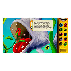 Dokun Dinle - Gülün Yolculuğu Dokun Dinle - Gülün Yolculuğu