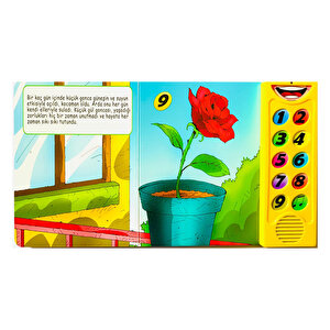 Dokun Dinle - Gülün Yolculuğu Dokun Dinle - Gülün Yolculuğu