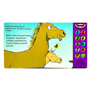 Dokun Dinle - Sevim Atlar Dokun Dinle - Sevim Atlar