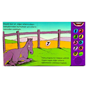 Dokun Dinle - Sevim Atlar Dokun Dinle - Sevim Atlar