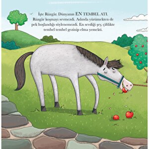 Dünyanın En Tembel Atı: Rüzgar