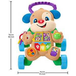 Fisher Price Eğitici Köpekçik Yürüteç