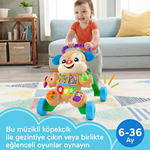 Fisher Price Eğitici Köpekçik Yürüteç