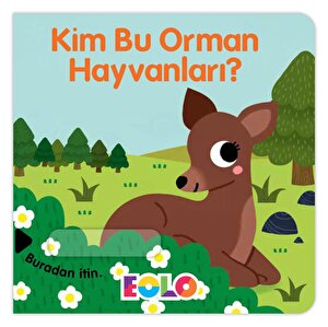 Kim Bu Orman Hayvanları?