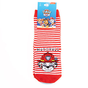 Paw Patrol 3lü Soket Çorap