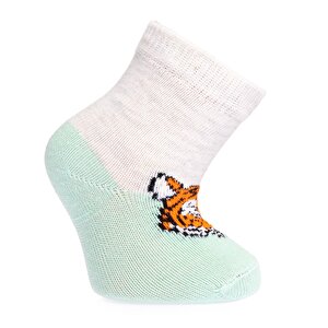 Erkek 3lü Soket Çorap Erkek Bebek