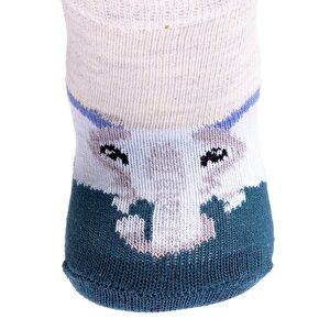 Erkek 3lü Soket Çorap Erkek Bebek