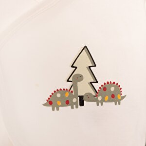 Erkek Bebek Yenidoğan 5'li Askı Hastane Çıkışı Çıtçıtlı Zarf Yaka Uzun Kol Yeşil