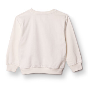 Erkek Bebek Basic Sweatshirt Şardonlu Bisiklet Yaka Uzun Kol Erkek Bebek Basic Sweatshirt Şardonlu Bisiklet Yaka Uzun Kol