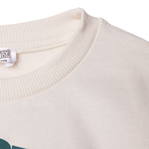 Erkek Bebek Basic Sweatshirt Şardonlu Bisiklet Yaka Uzun Kol Erkek Bebek Basic Sweatshirt Şardonlu Bisiklet Yaka Uzun Kol