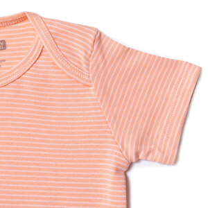 Kısa Kol Body Kısa Kol Body