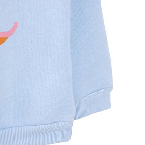 Erkek Bebek Mountain Explorer Kapüşonlu Sweatshirt Şardonlu Üç İplik Uzun Kol Erkek Bebek Mountain Explorer Kapüşonlu Sweatshirt Şardonlu Üç İplik Uzun Kol