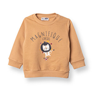 HelloBaby Basic Sweatshirt, Ten, 6 Ay