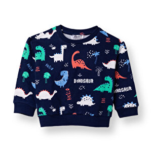 HelloBaby Sweatshirt, Desenli, 3 - 6 Ay HelloBaby Sweatshirt, Desenli, 3 - 6 Ay
