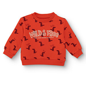 HelloBaby Sweatshirt, Desenli, 3 - 6 Ay