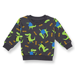 HelloBaby Sweatshirt, Gri, 6 Ay