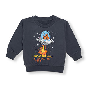 Basic Sweatshirt Basic Sweatshirt