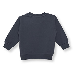 Basic Sweatshirt Basic Sweatshirt