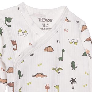 Erkek Bebek Zıbın Body İnterlok V Yaka Uzun Kol Erkek Bebek Zıbın Body İnterlok V Yaka Uzun Kol