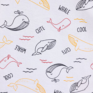 Erkek Kısa Kol Body Erkek Bebek Erkek Kısa Kol Body Erkek Bebek