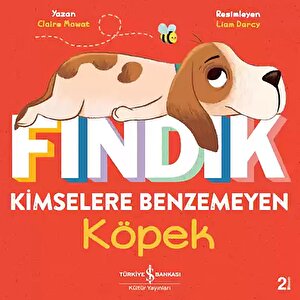 Fındık Kimselere Benzemeyen Köpek Fındık Kimselere Benzemeyen Köpek