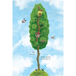 Fındıklarını Arayan Sincap