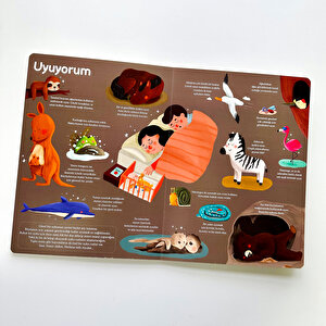 Genel Kültür Kitabım - Büyüyorum Çağrı Odabaşı Genel Kültür Kitabım - Büyüyorum Çağrı Odabaşı