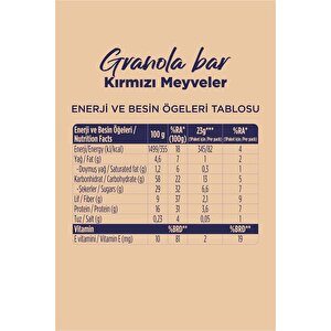 Granola Bar - Kırmızı Meyveli 23g