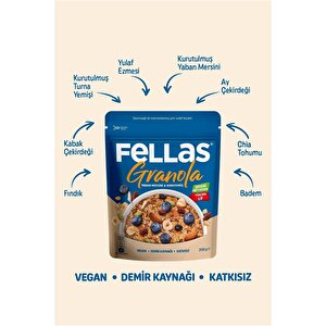 Granola - Yaban Mersini & Kuruyemiş 200g