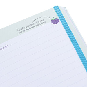 Hamilelik Günlüğüm