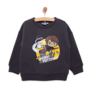 Warner Bros Harry Potter, Antrasit, 9 Ay