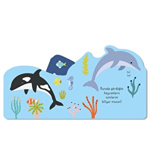 Hoplaya Zıplaya Sualtı Hoplaya Zıplaya Sualtı