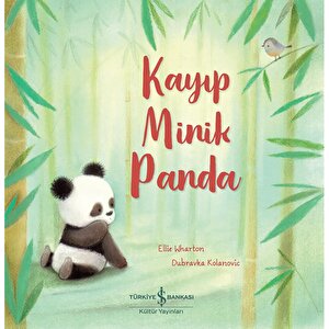 Kayıp Minik Panda