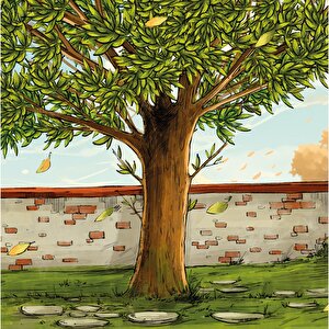 Kedi Ağacı Kedi Ağacı