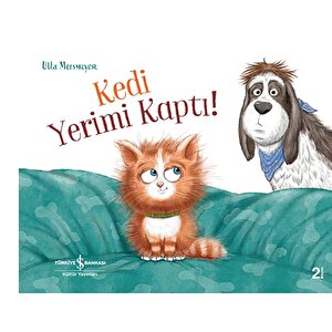 Kedi Yerimi Kaptı Kedi Yerimi Kaptı