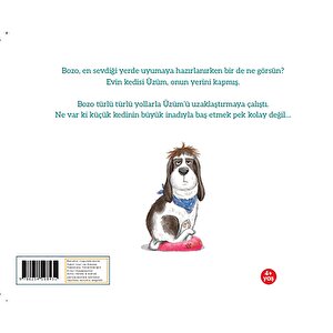 Kedi Yerimi Kaptı Kedi Yerimi Kaptı