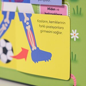 Keşif zamanı serisi- İnsan vücudu Keşif zamanı serisi- İnsan vücudu